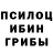 Псилоцибиновые грибы мицелий Black Shadow