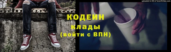 соль ск Богданович