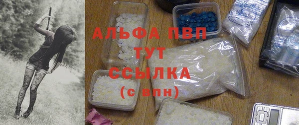 амф Белоозёрский