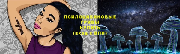 экстази Богородицк